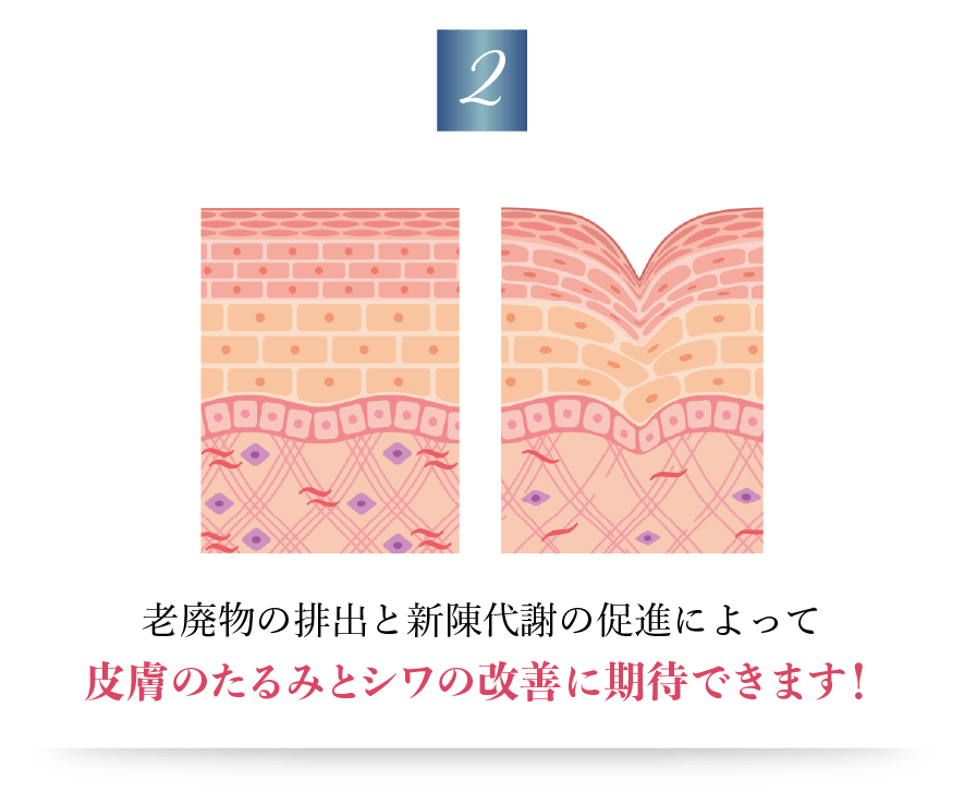 2:たるみとシワ改善: